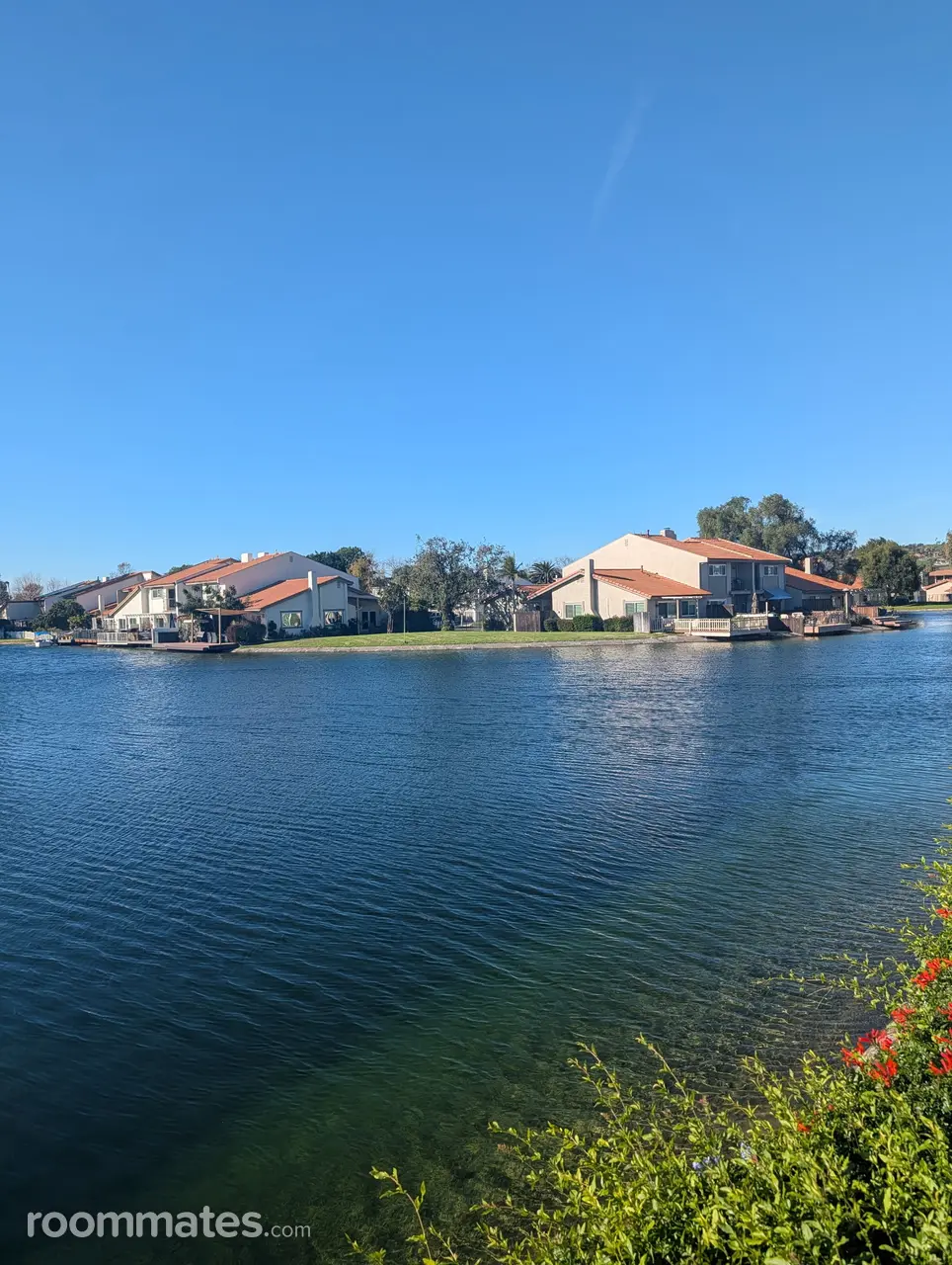 Profile photo 5 of 8