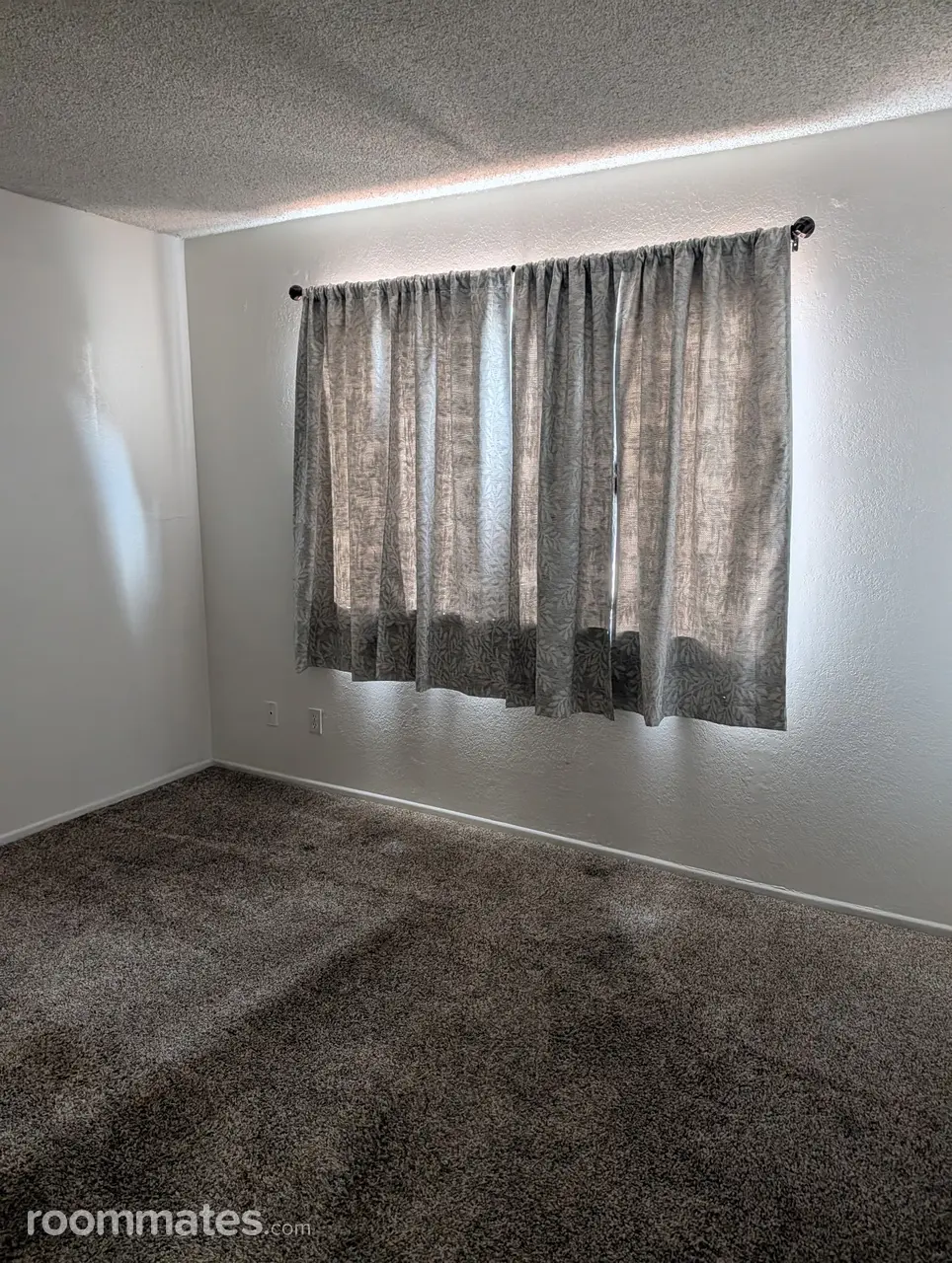 Profile photo 6 of 8