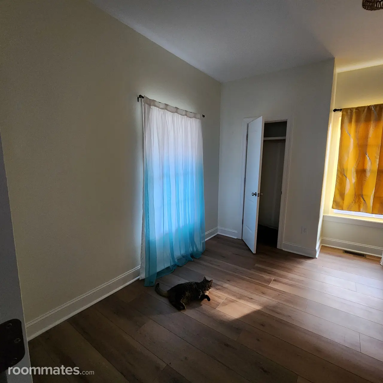 Profile photo 4 of 5