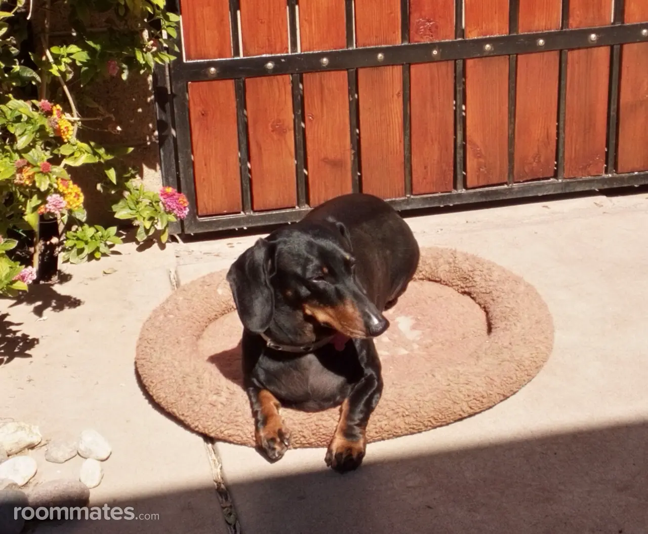 Profile photo 10 of 11