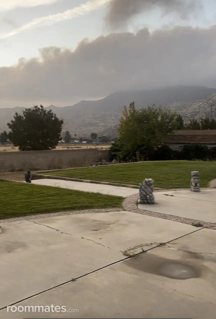 Profile photo 13 of 21