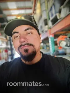 Roommate looking Fresno, CA, $700