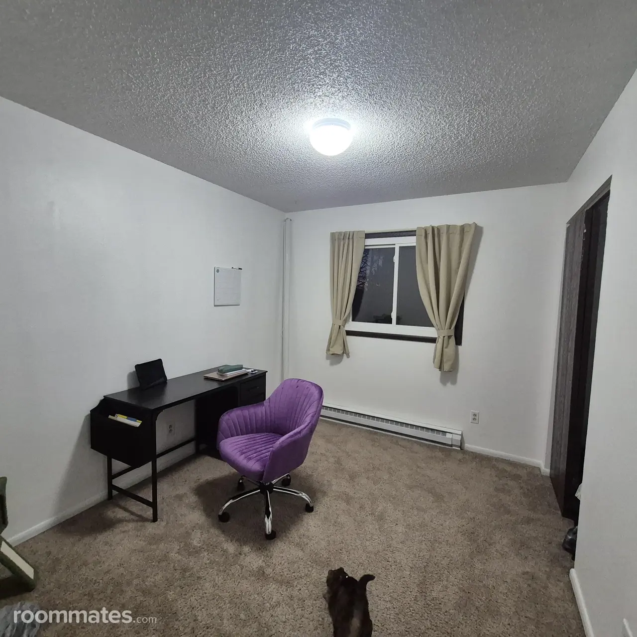 Profile photo 4 of 7