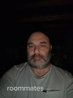 Roommate looking Lincoln Park, MI, $800