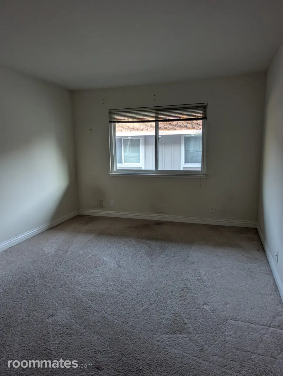 Profile photo 6 of 11