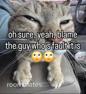 Roommate looking Omaha, NE, $1000