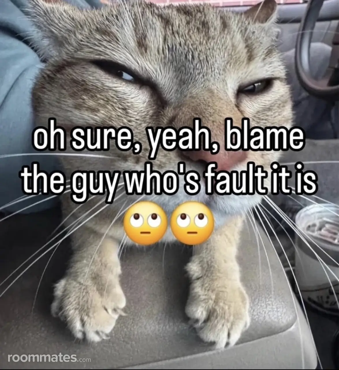 Profile photo 1 of 1