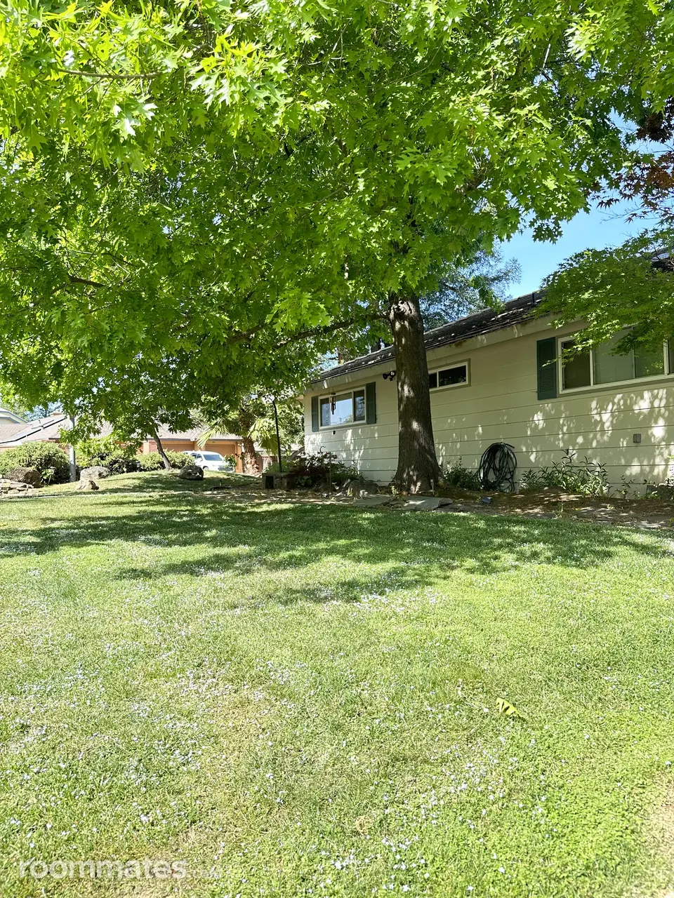 Profile photo 2 of 10