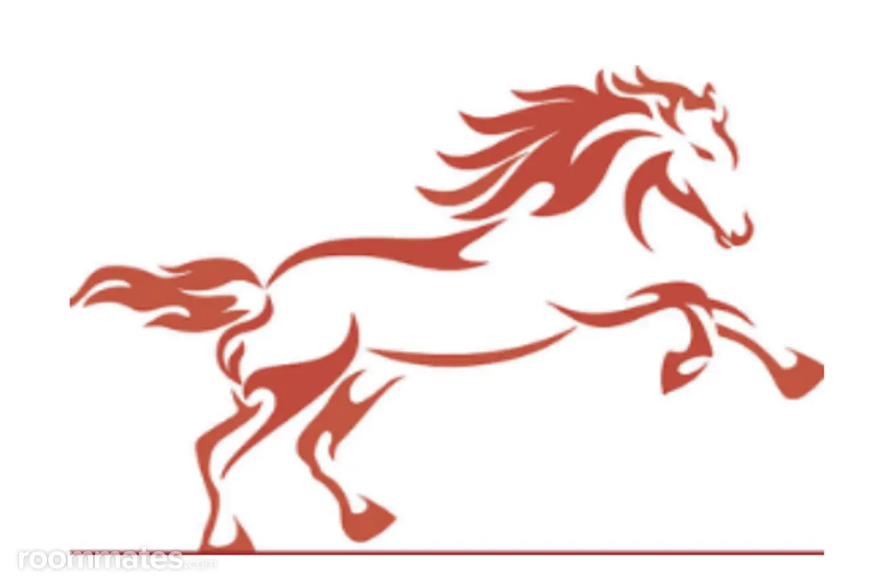 Profile photo 10 of 10