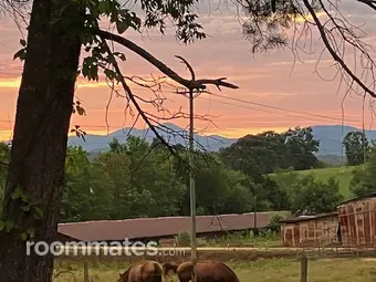 Room for rent in Cleveland, GA $847, house