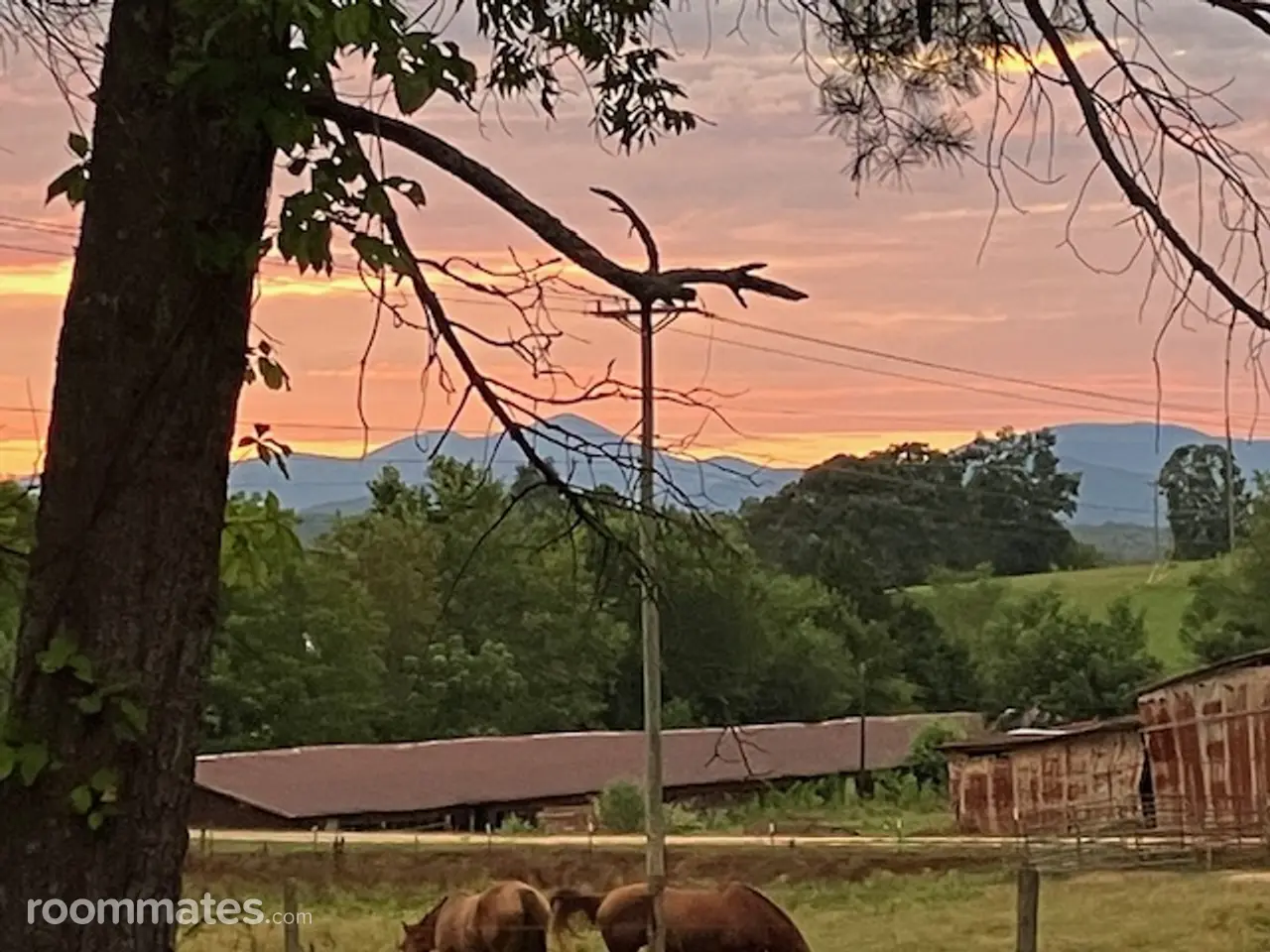 Profile photo 10 of 11