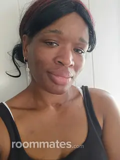 Roommate looking Lakeland, FL, $400