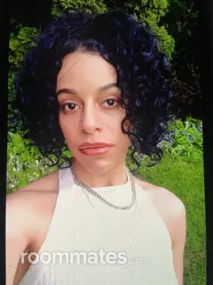 Roommate looking Bristol, CT, $600