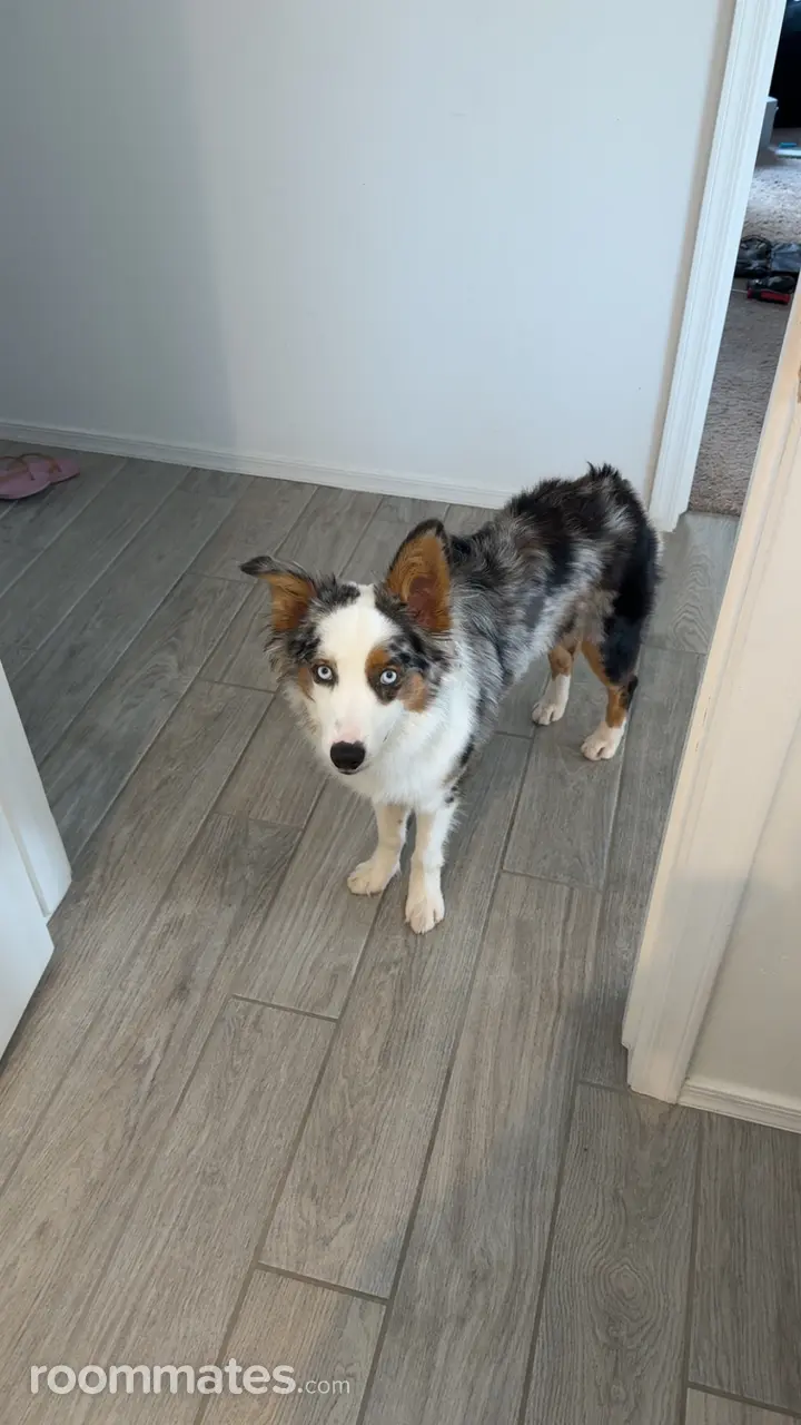 Profile photo 3 of 8