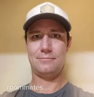 Roommate looking Greenville, SC, $800