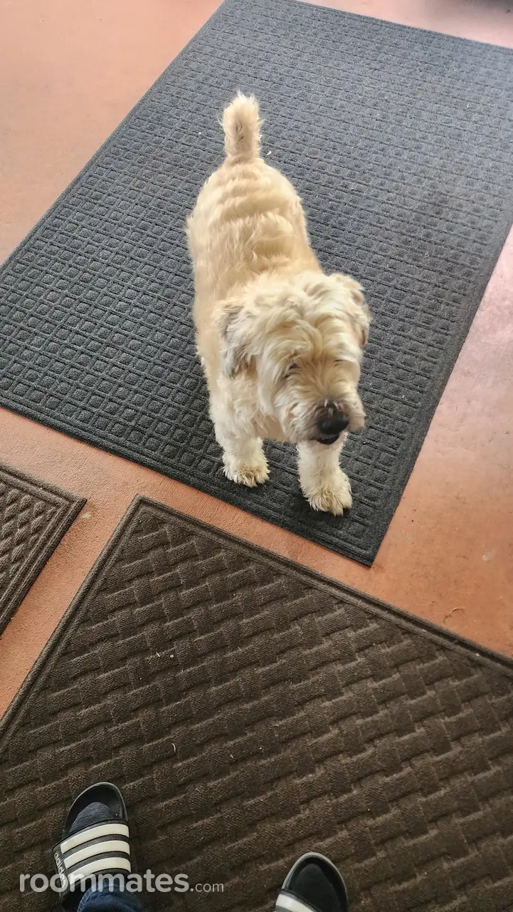 Profile photo 7 of 10