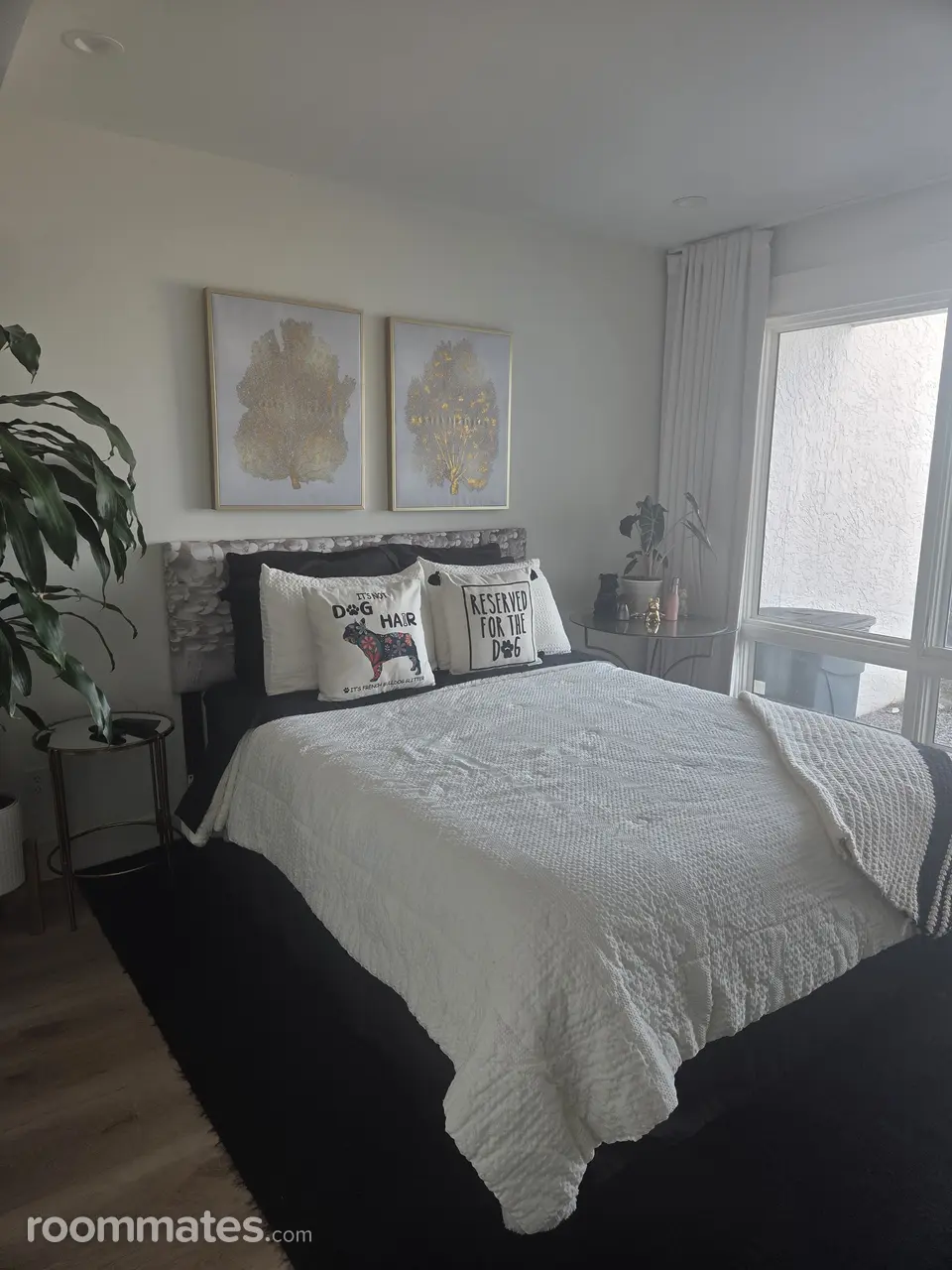 Profile photo 4 of 8