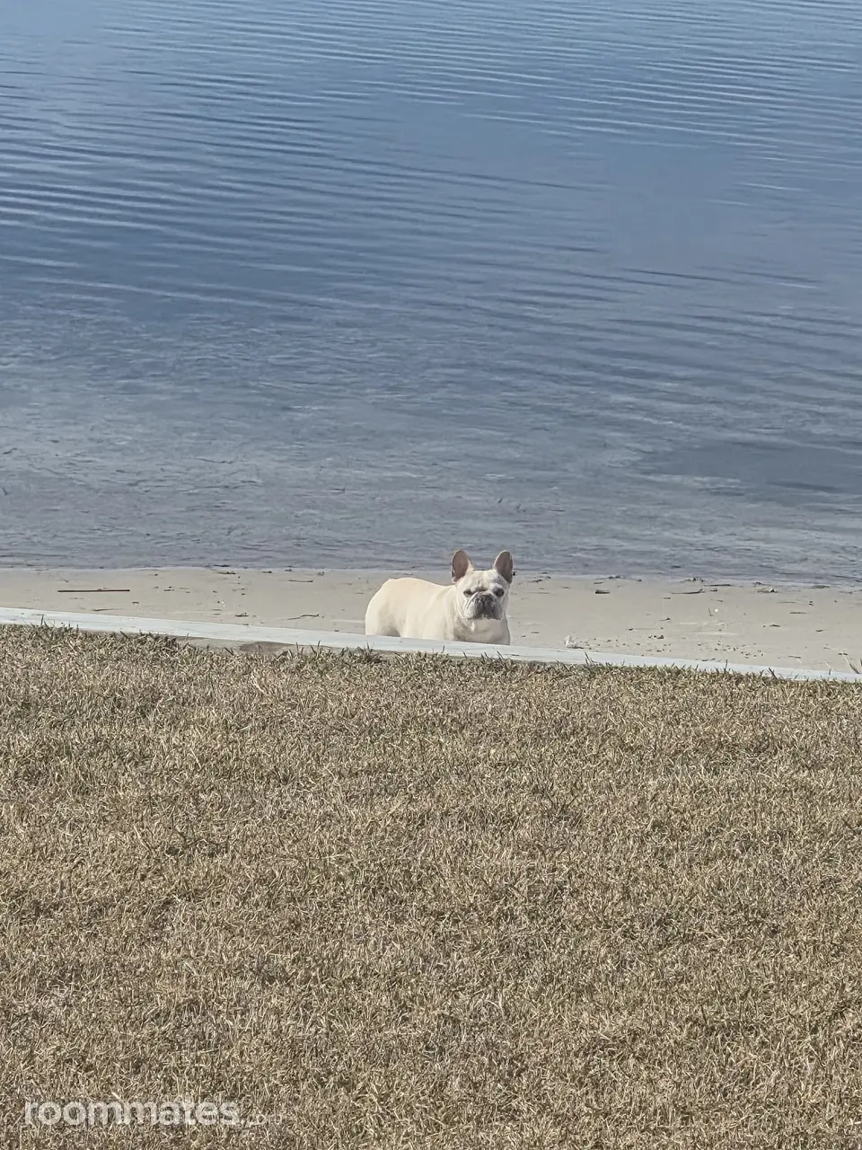 Profile photo 7 of 8