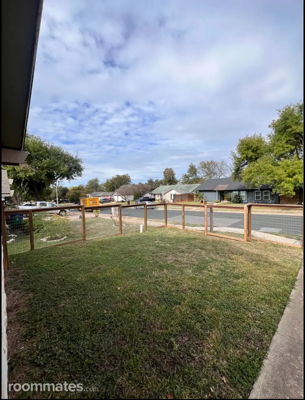 Profile photo 1 of 11