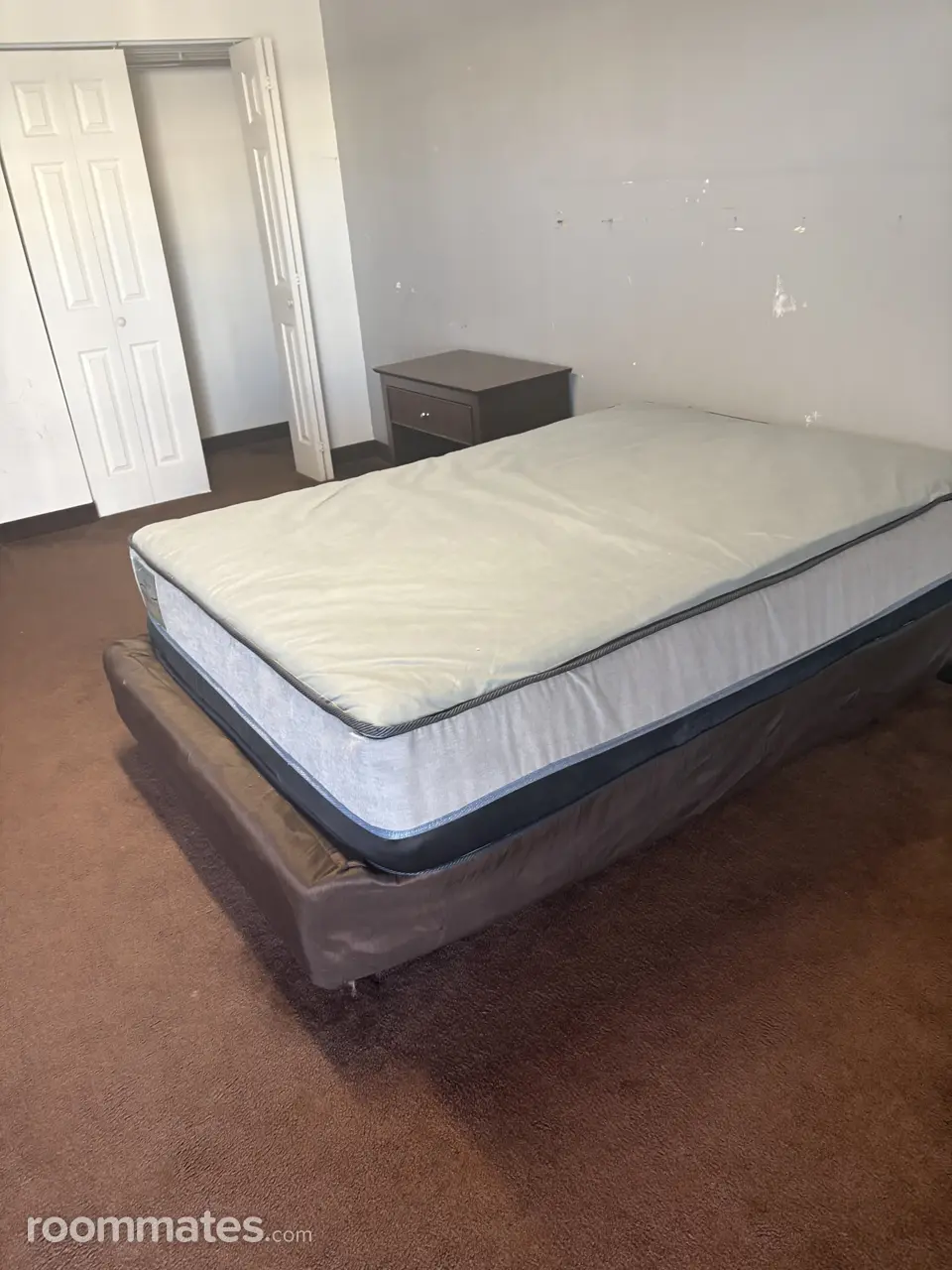 Profile photo 4 of 13