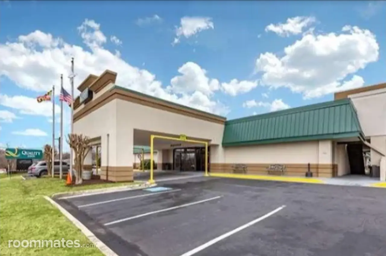 Profile photo 13 of 13