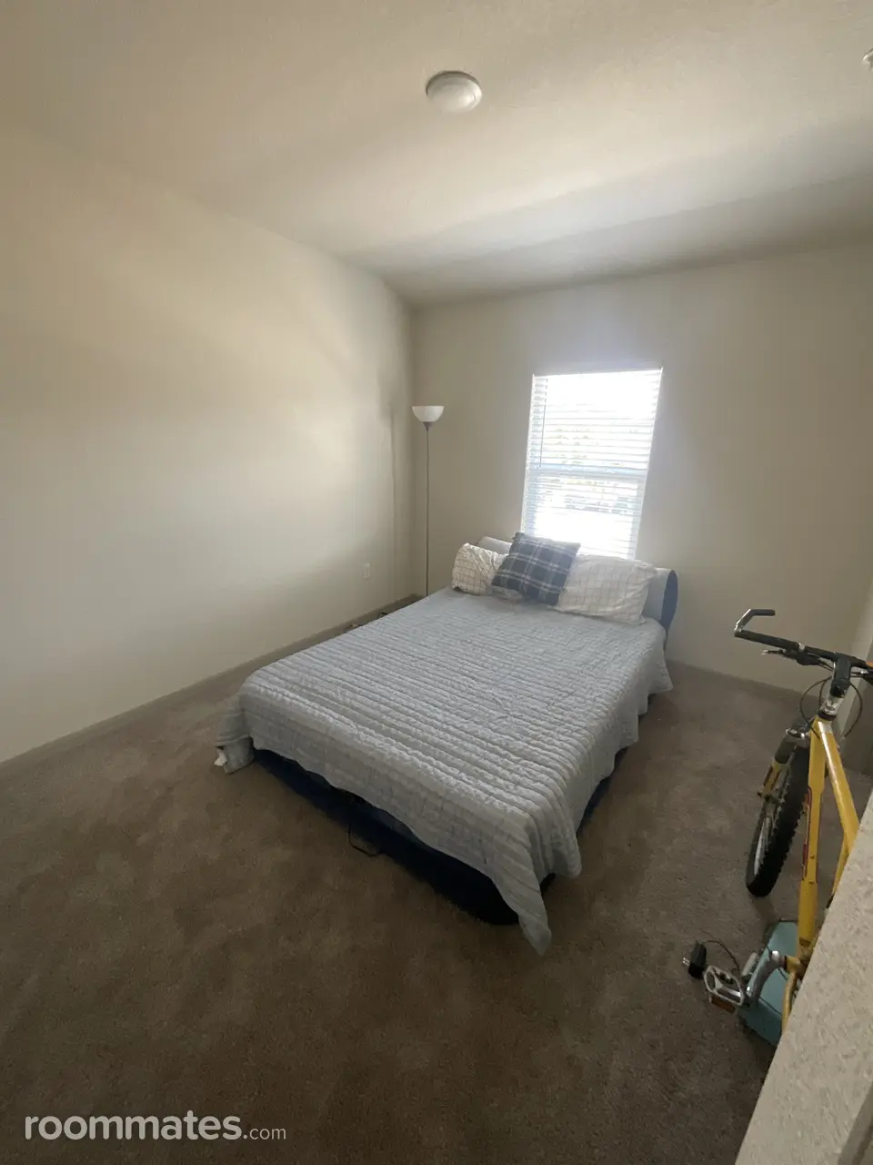 Profile photo 8 of 19