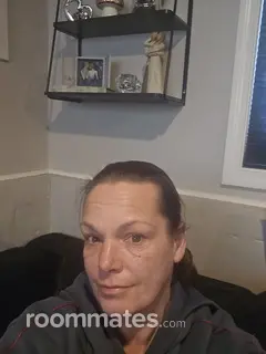 Roommate looking Canton, MI, $900