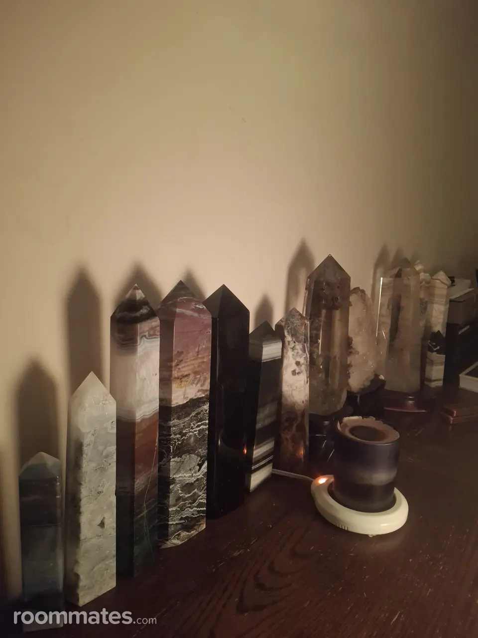 Profile photo 11 of 11