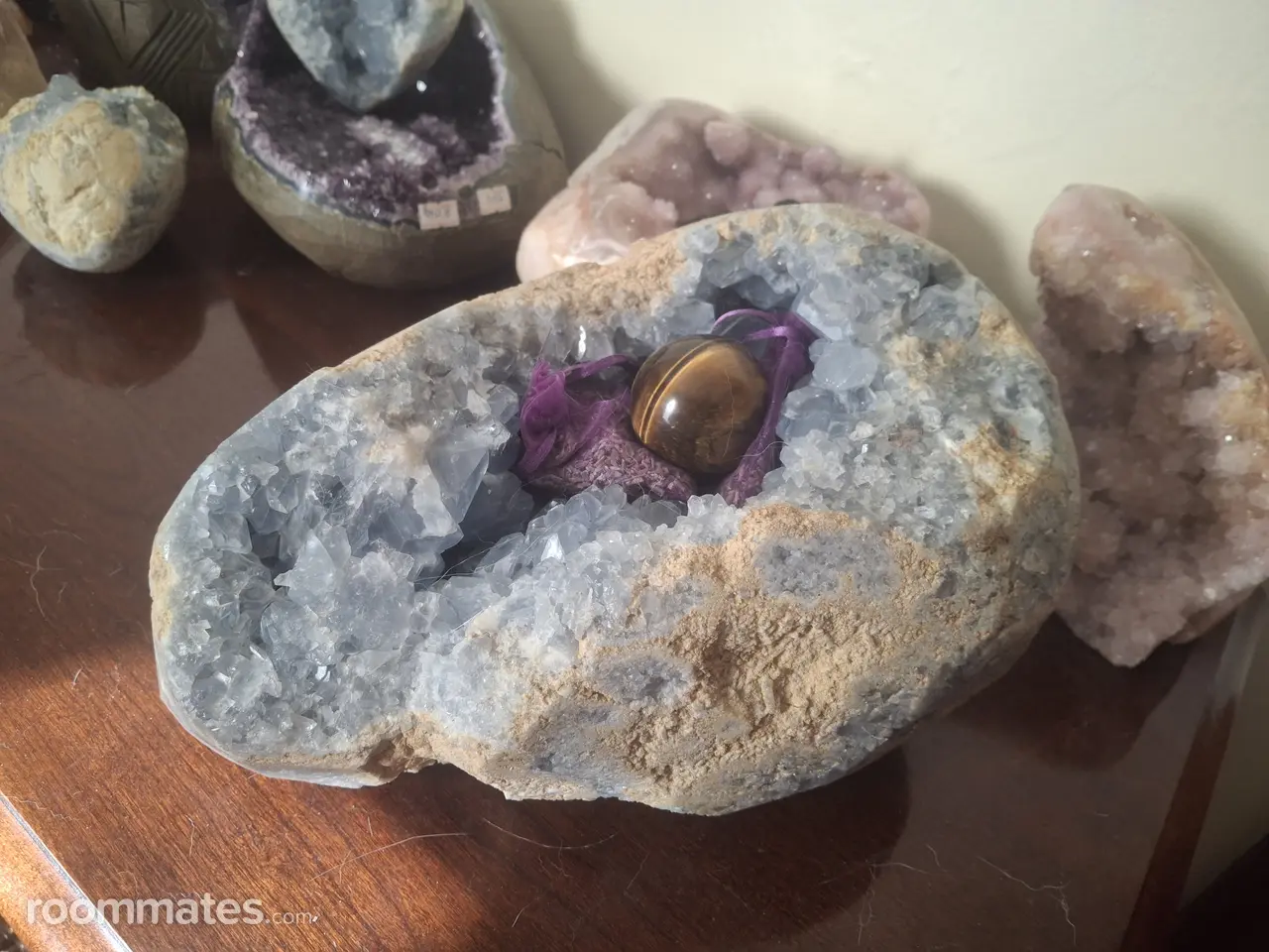 Profile photo 4 of 11