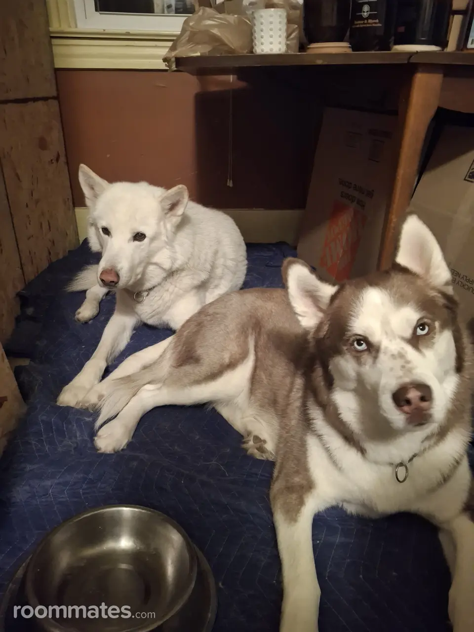 Profile photo 5 of 11