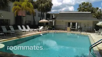 Room for rent in Tampa, FL $700, condo