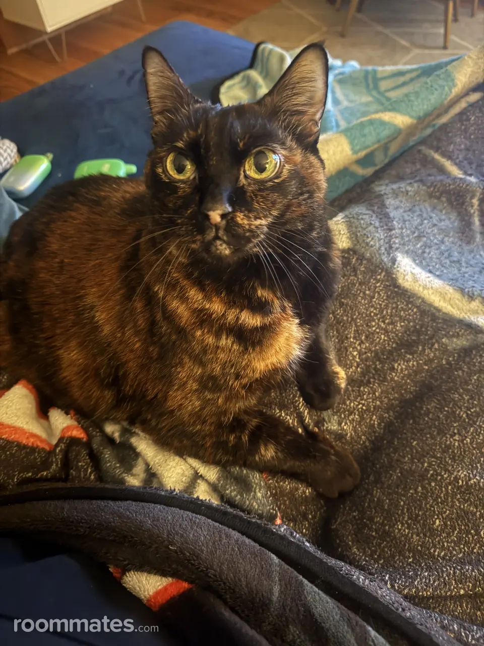 Profile photo 9 of 10