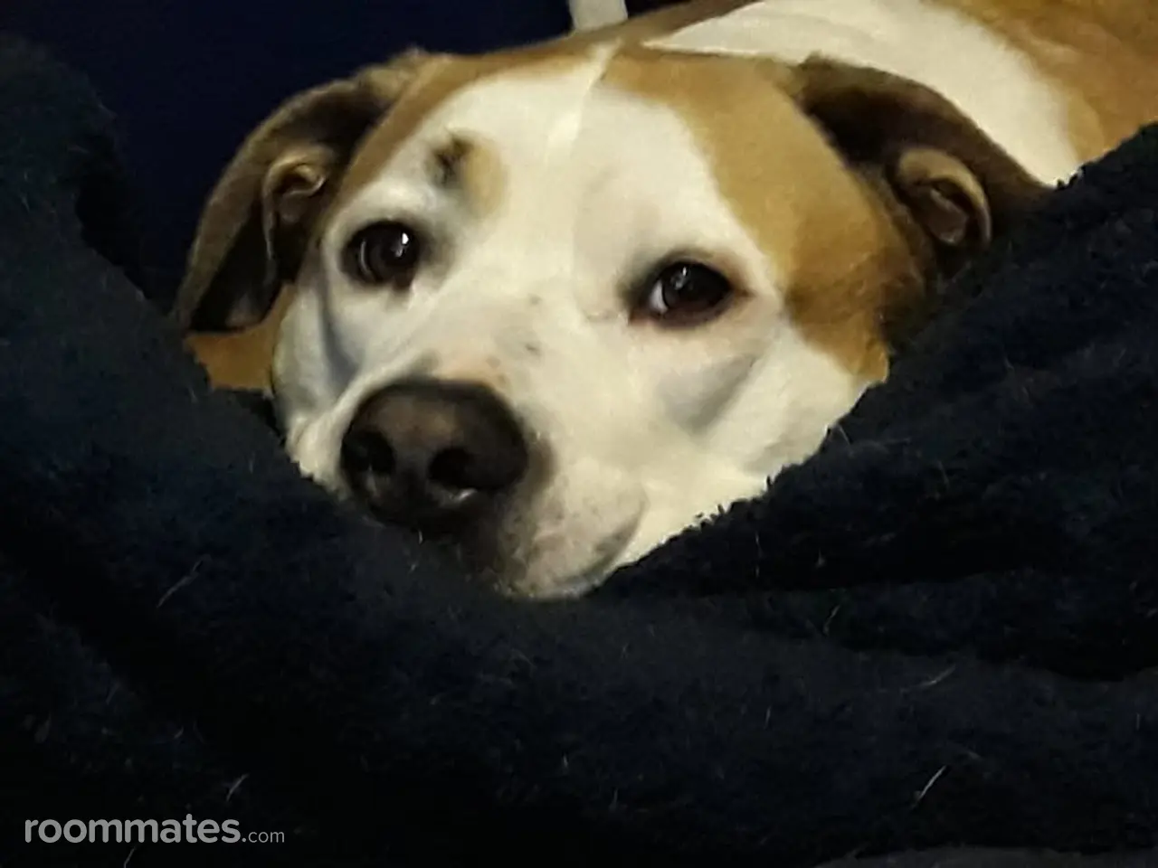 Profile photo 3 of 5