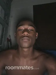 Roommate looking Glendale, AZ, $700