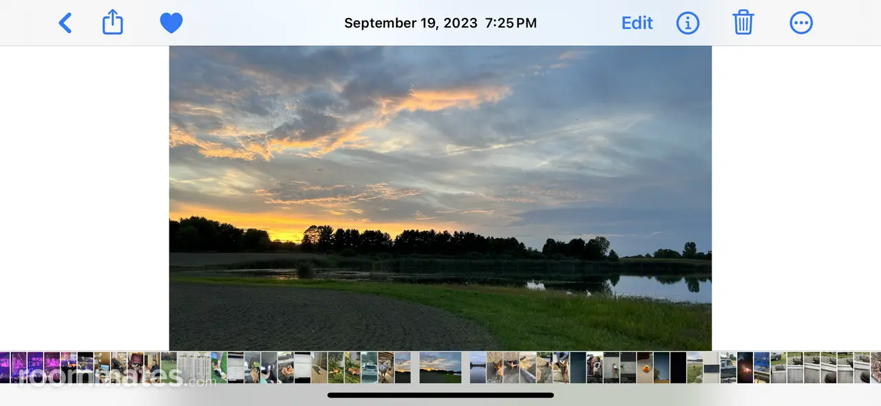 Profile photo 1 of 1