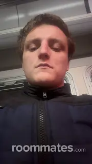 Roommate looking Portland, OR, $600