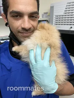 Roommate looking Palo Alto, CA, $800