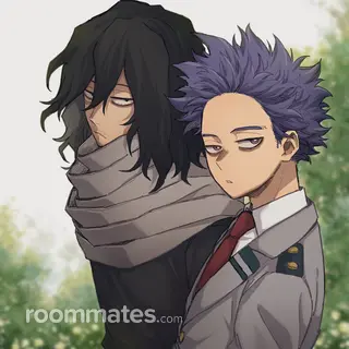 Roommate looking Houston, TX, $2000