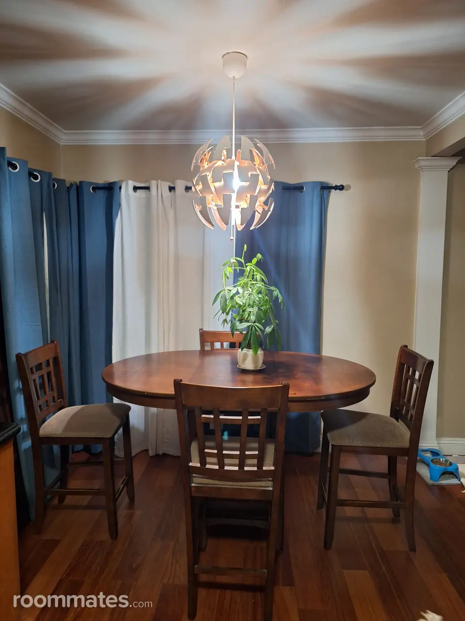 Profile photo 6 of 16