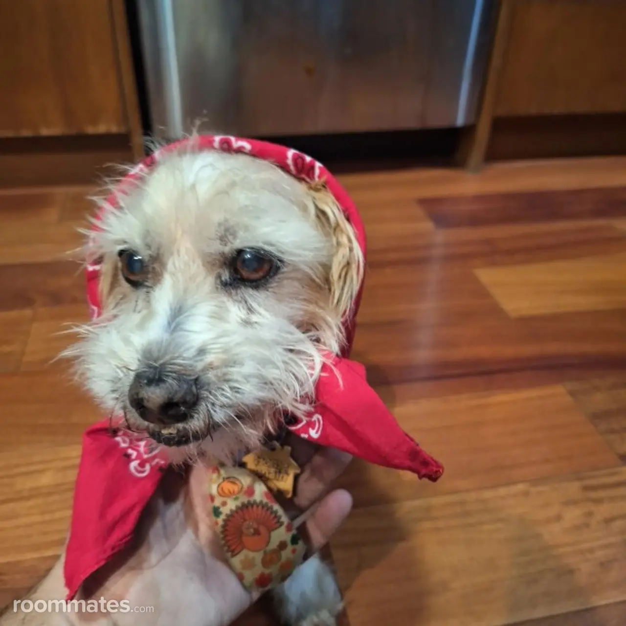 Profile photo 13 of 16