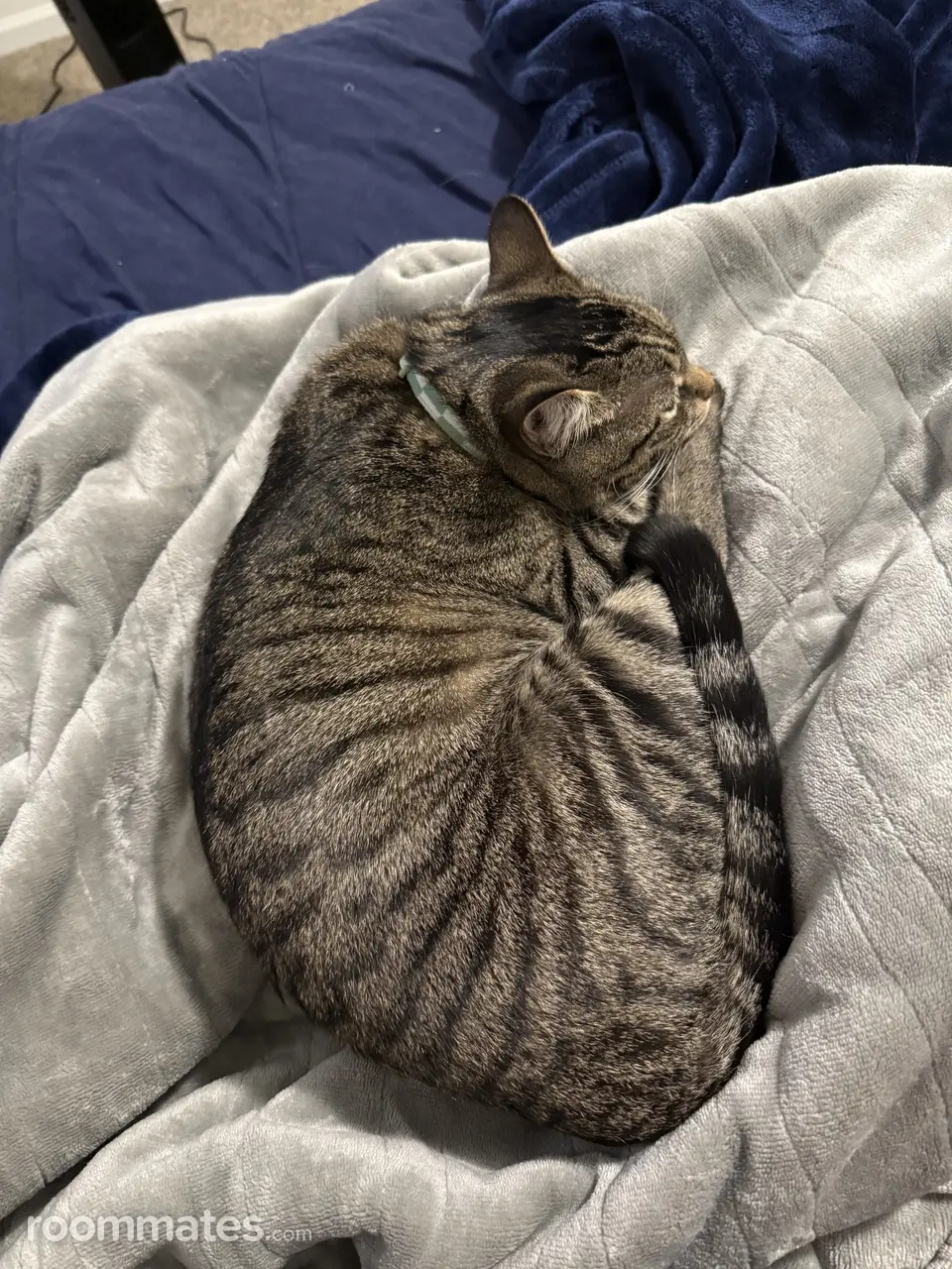 Profile photo 8 of 8