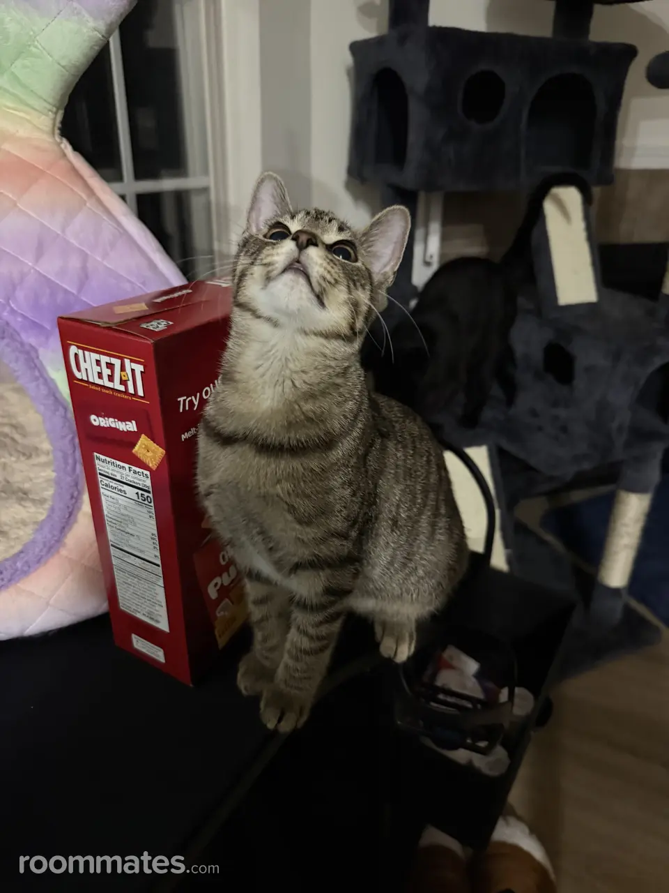 Profile photo 7 of 8