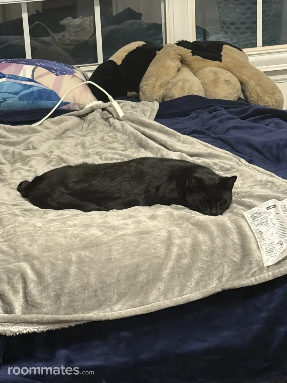 Profile photo 5 of 8