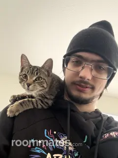 Roommate looking Marysville, OH, $1200