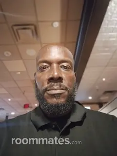 Roommate looking Chicago, IL, $1200