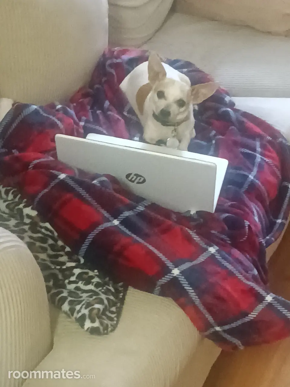 Profile photo 5 of 5