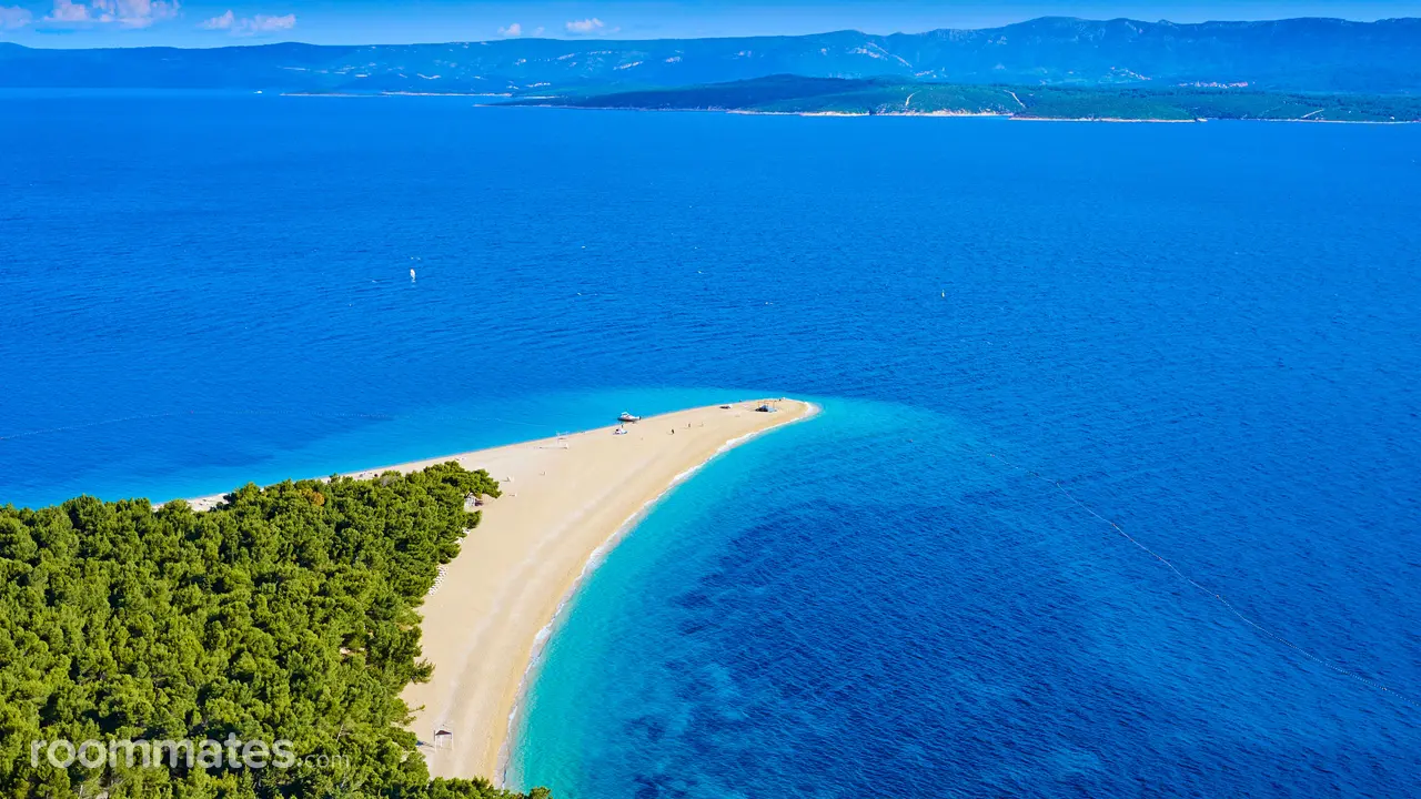 Profile photo 1 of 1