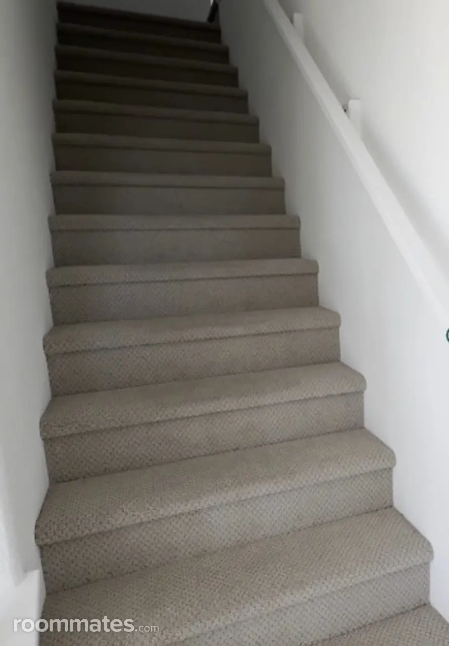 Profile photo 2 of 11