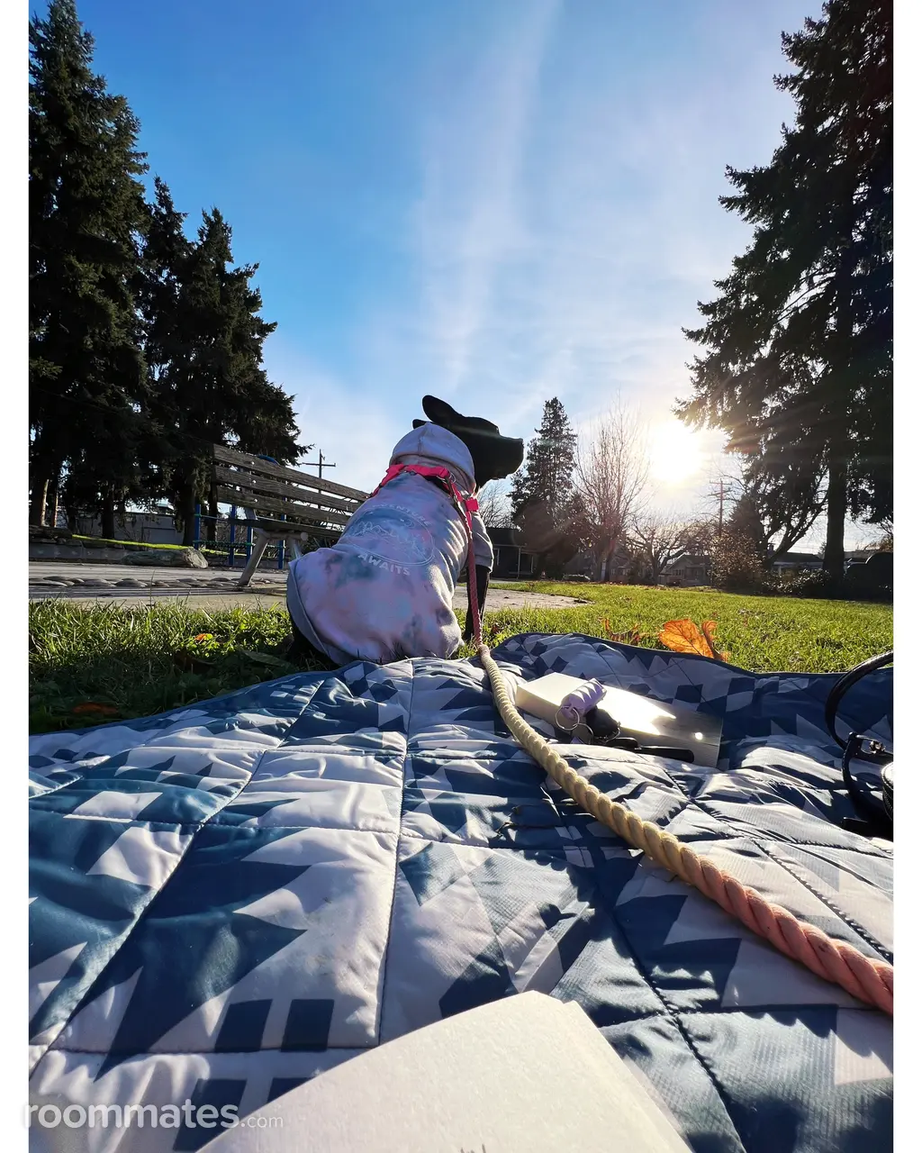 Profile photo 12 of 17