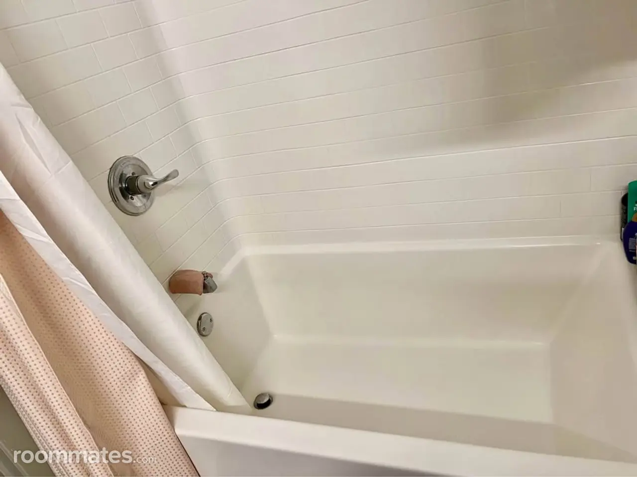 Profile photo 3 of 7